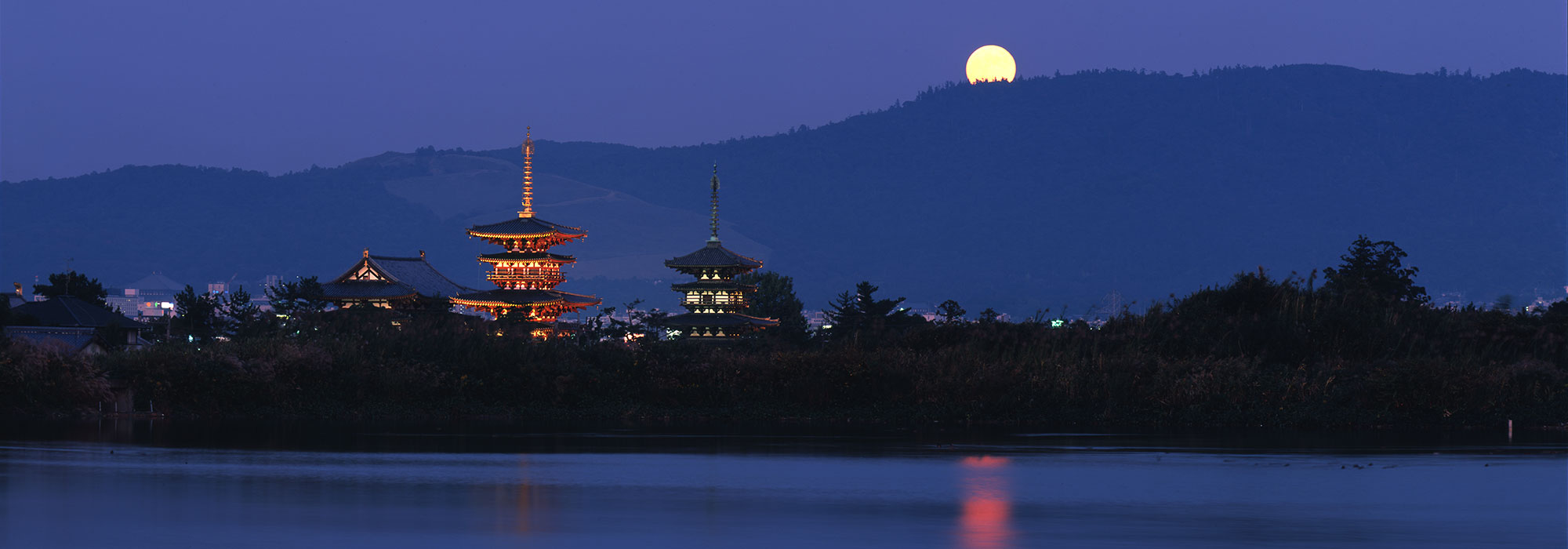 薬師寺 遠景