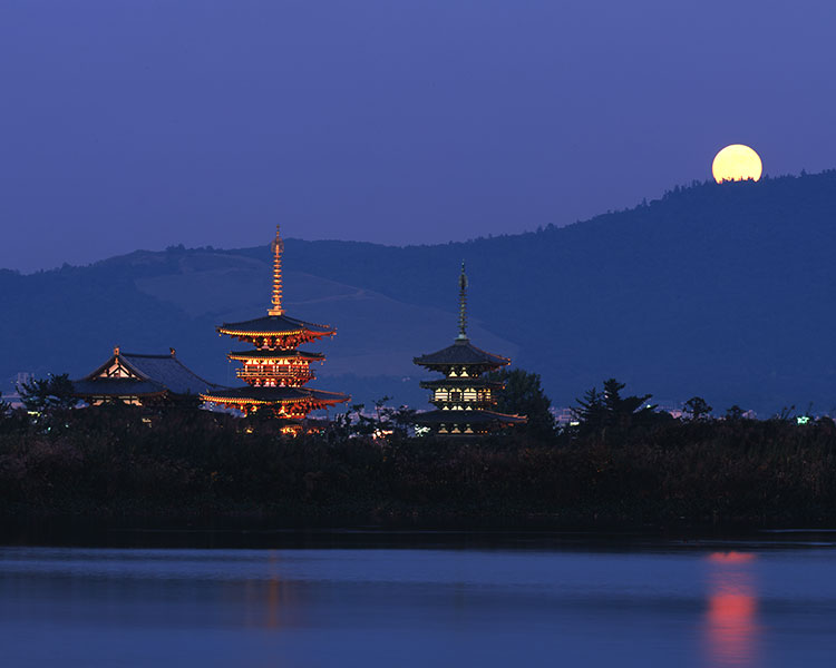 薬師寺 遠景