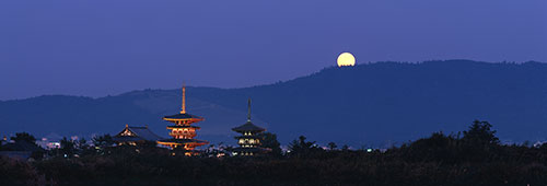 薬師寺の伽藍・仏像